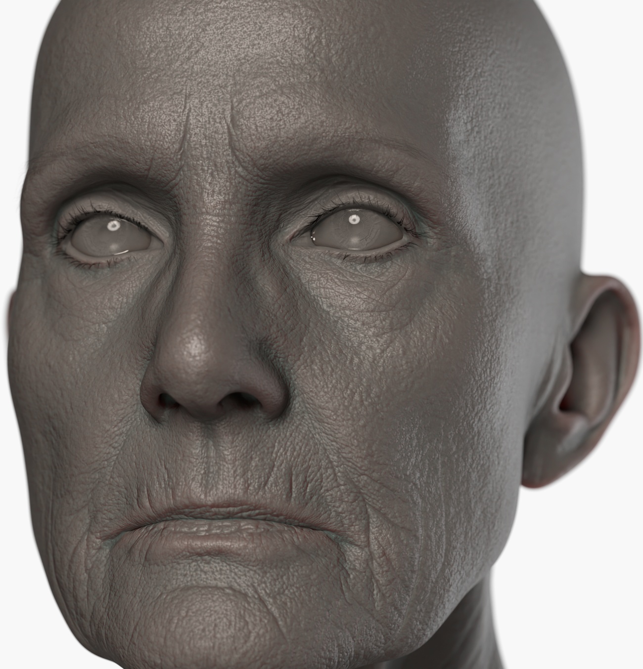 Clay render of an older female 3D head scan showing skin pore detail, fine lines, and facial wrinkle structure